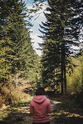 Circuit Le village et la forêt