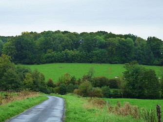 Escapades sur les Crêtes n°63 - Sentier découverte de la Crête des Charrières (Dommery - 4km)