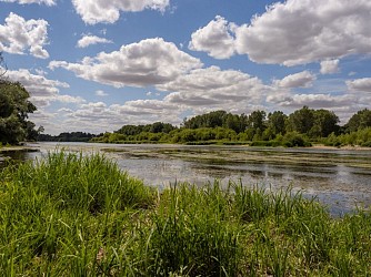 Le circuit Loire et forêt