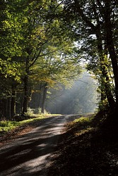 Escapades sur les Crêtes n°41 - Entre Porcien et Signacien (Wagnon - 8,9km)