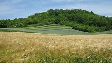 Escapades sur les Crêtes n°45 - Sentier de la montagne de Sery (Sery - 9,9km)