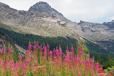 Le pic de Rochebrune