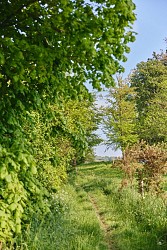 Le Saint-Évremond - Saint-Denis-le-Gast