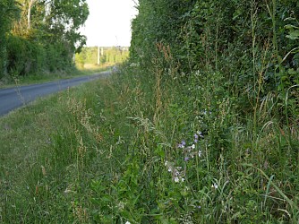 Sentier des Roches