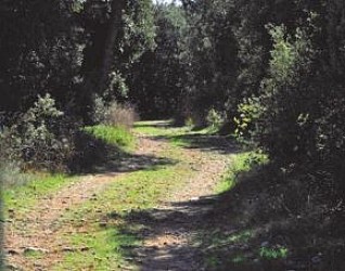 Rigaude, les Jas et la Pujade par Val Cros