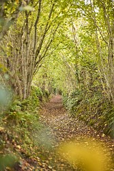 Circuit Les Bonnes Gens - Le Mesnilbus
