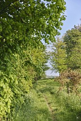 Circuit de l'Ay - Ancteville, Servigny, La Vendelée