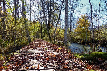 Hiking : Lélex - The Valserine, a wild river