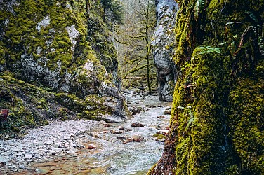 Hiking: Le Creux de l'Envers