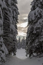 Snowshoe trail from Faucille to Turet