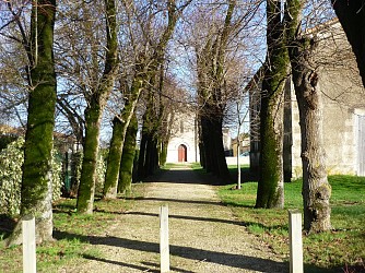 Entre marais et forêt : la commune de Fors