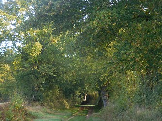 Circuit pédestre n°31 "la boucle des étangs"