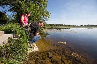 Balade à pied n°4 - luxuriances marécageuses