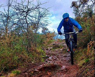 Circuit VTT de l'orée pourpre de Brocéliande n°12