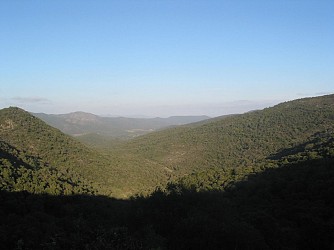 Randonnée - La Forêt du Dom