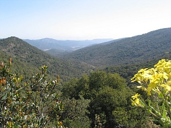 Randonnée - Les Hauts de Bormes