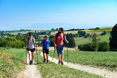 La forêt du Roi et Biol le Haut (courte)