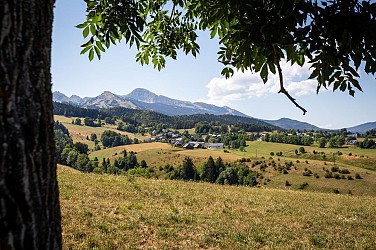 Payonère