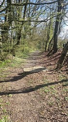 Le Grillon et la vallée de l'Irance