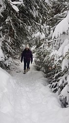 Circuit pédestre des animaux de montagne