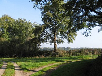 Circuit pédestre n°9 "le sentier de ferrières"