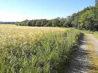 Circuit pédestre n° 25 "de moulins en châteaux"