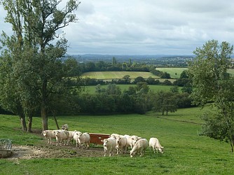 Circuit vtt n°6 : la traversée du bocage