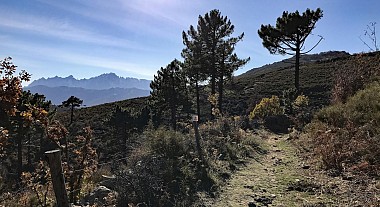 VTT FFC 10 : Maltiola