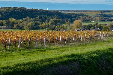Entre vignes et coteaux