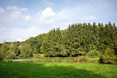 The 7 springs in Battincourt