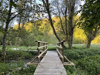 Balade au fil de l'eau à Nothomb