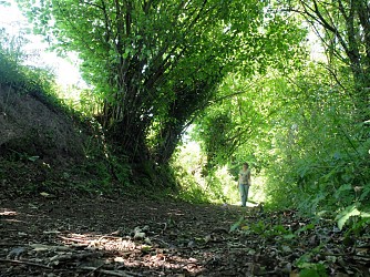A pied - Aux champs de St Jean