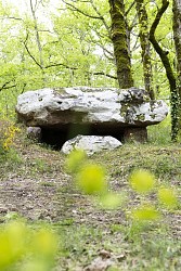 Boucle du Dolmen n°1/Saint-Chamassy