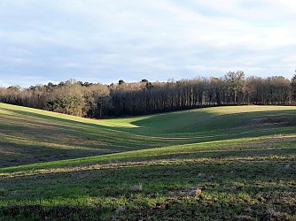 Balade de la biodiversité : Boucle de l'Herm n° 34 /Rouffignac