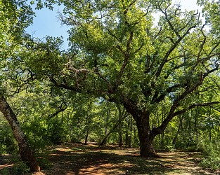 Circuit VTT : Cross-Country du Défens