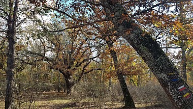 Circuit VTT : VTT Sous tension