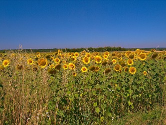 Link from Flanville to Laquenexy