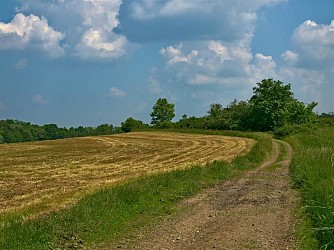 THE UPPER CANNER VALLEY