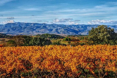OENORANDO® DES TERROIRS DE GIGNAC ET D’ANIANE