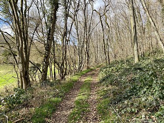 Promenons-nous dans les bois à Saint-Loup