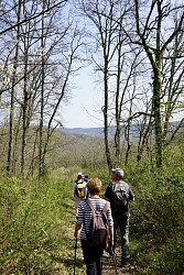 NOTRE DAME DE MONTAUT