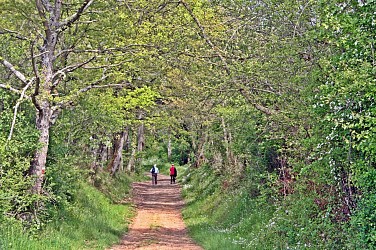LAC DE PARAYRE