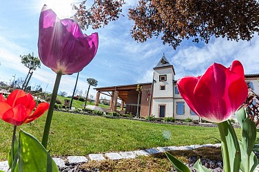 BALADE URBAINE AU COEUR DE SAINT-SAUVEUR