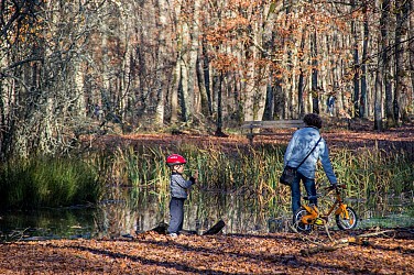 CIRCUIT DE LA FEUILLE DE CHÊNE