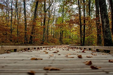 CIRCUIT DE L'ESCARGOT
