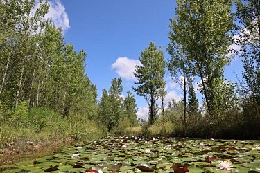 Sentier Les Laurentides