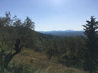 Promenade : Vers la forêt domaniale - Tourrettes