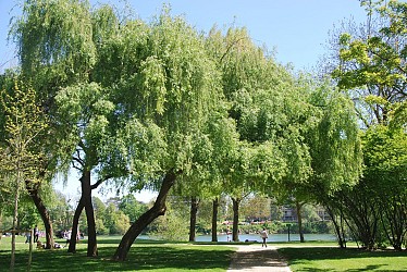 La plaine du Mesnil-le-Roi (Parcours 3 de Plaine d'Avenir 78)