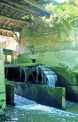 A la découverte de Marmont-Chaffoux