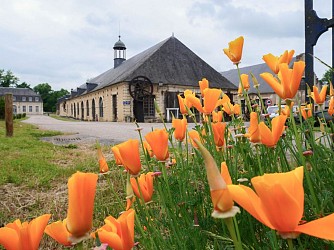 Le circuit des Forges Royales